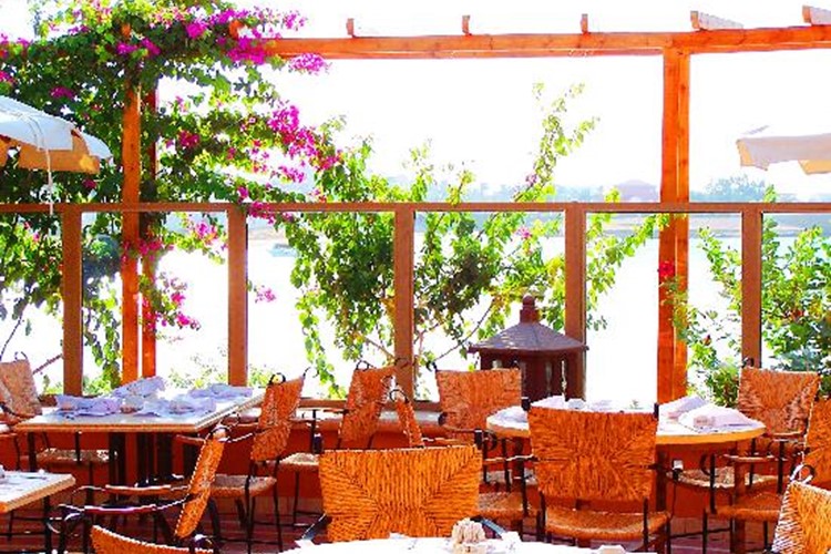 restaurant-terrace