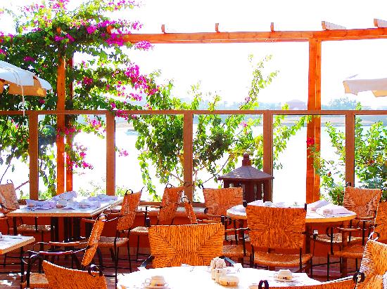 restaurant-terrace